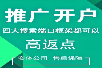 百度推广公司的成功案例：如何实现广告投资回报最大化